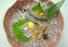 活魚料理写真